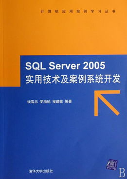 SQL Server 2005實用技術及案例系統開發(fā) 附光盤的計算機應用案例學習指南